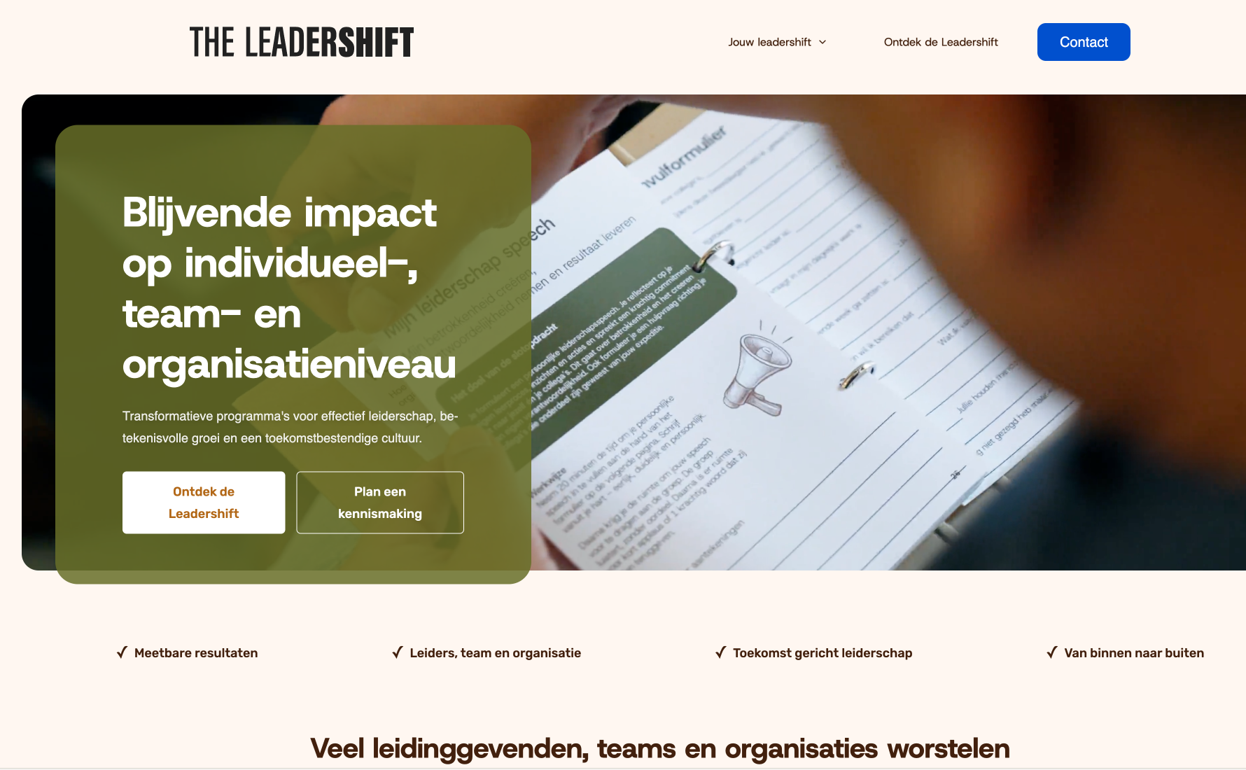 The Leadershift detail